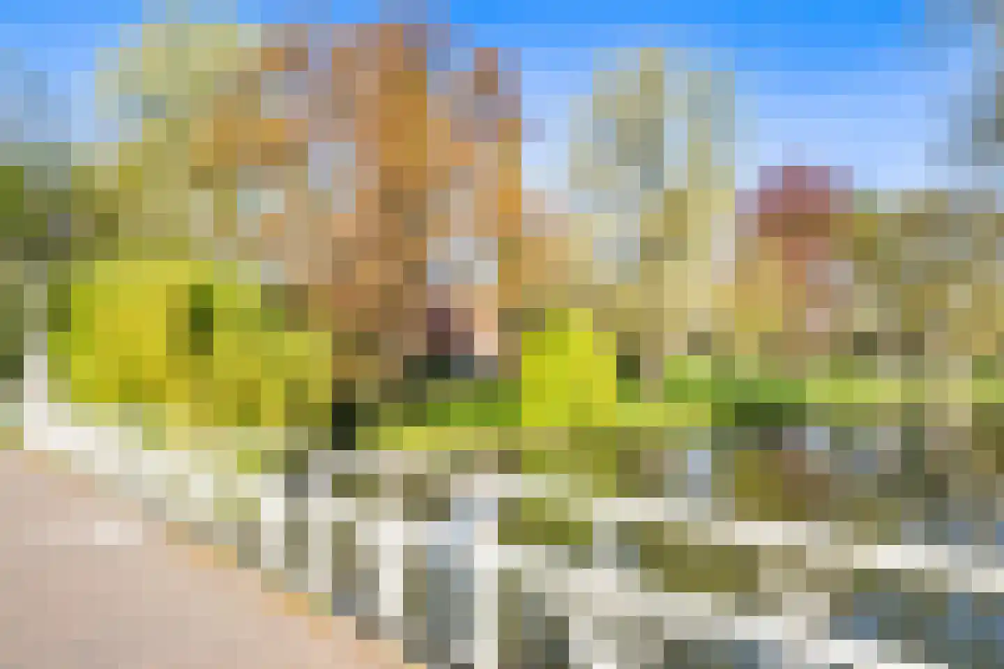 Hieronymusplantsoen 2 D Utrecht thumbnail 56