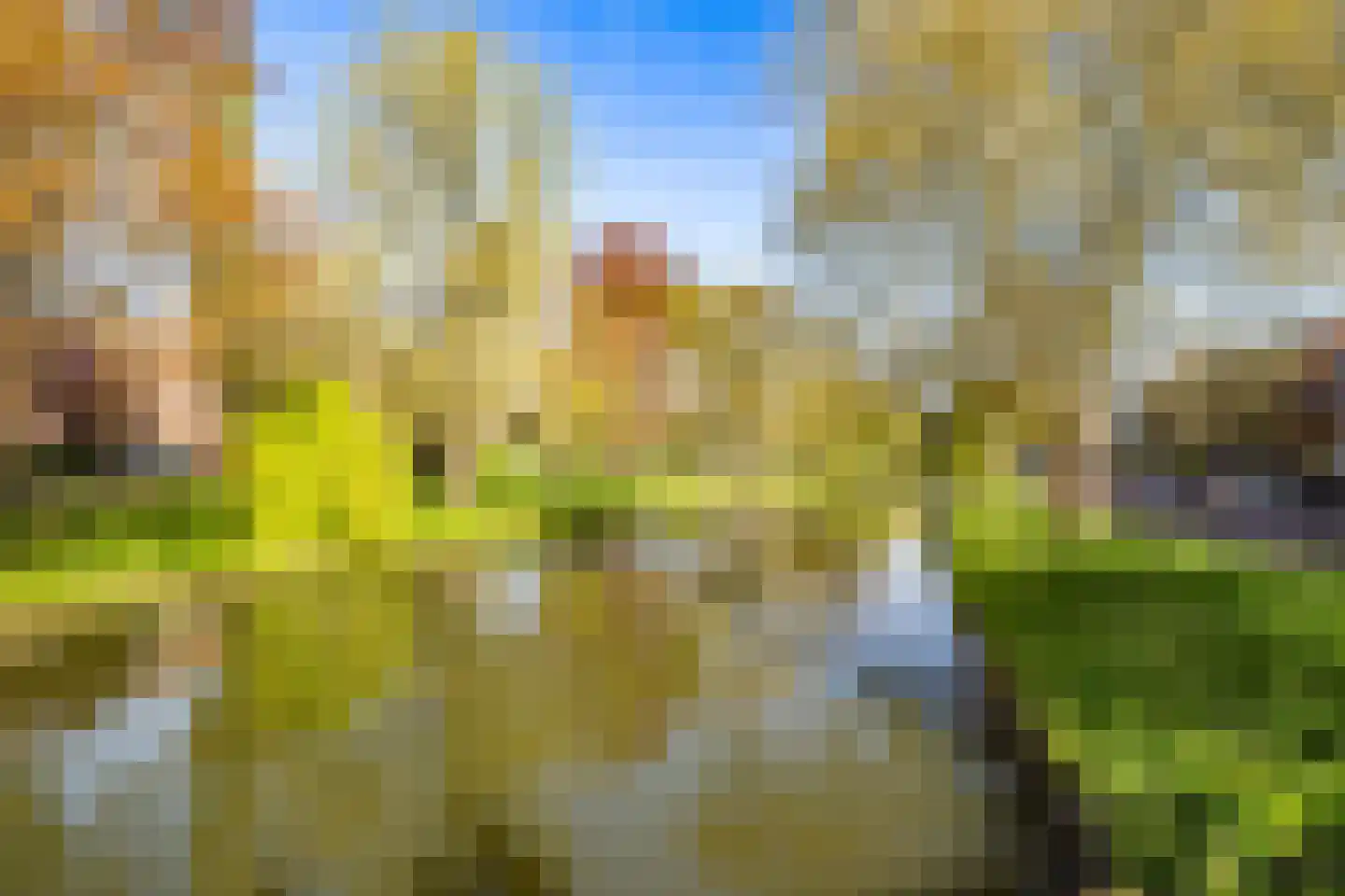 Hieronymusplantsoen 2 D Utrecht thumbnail 57