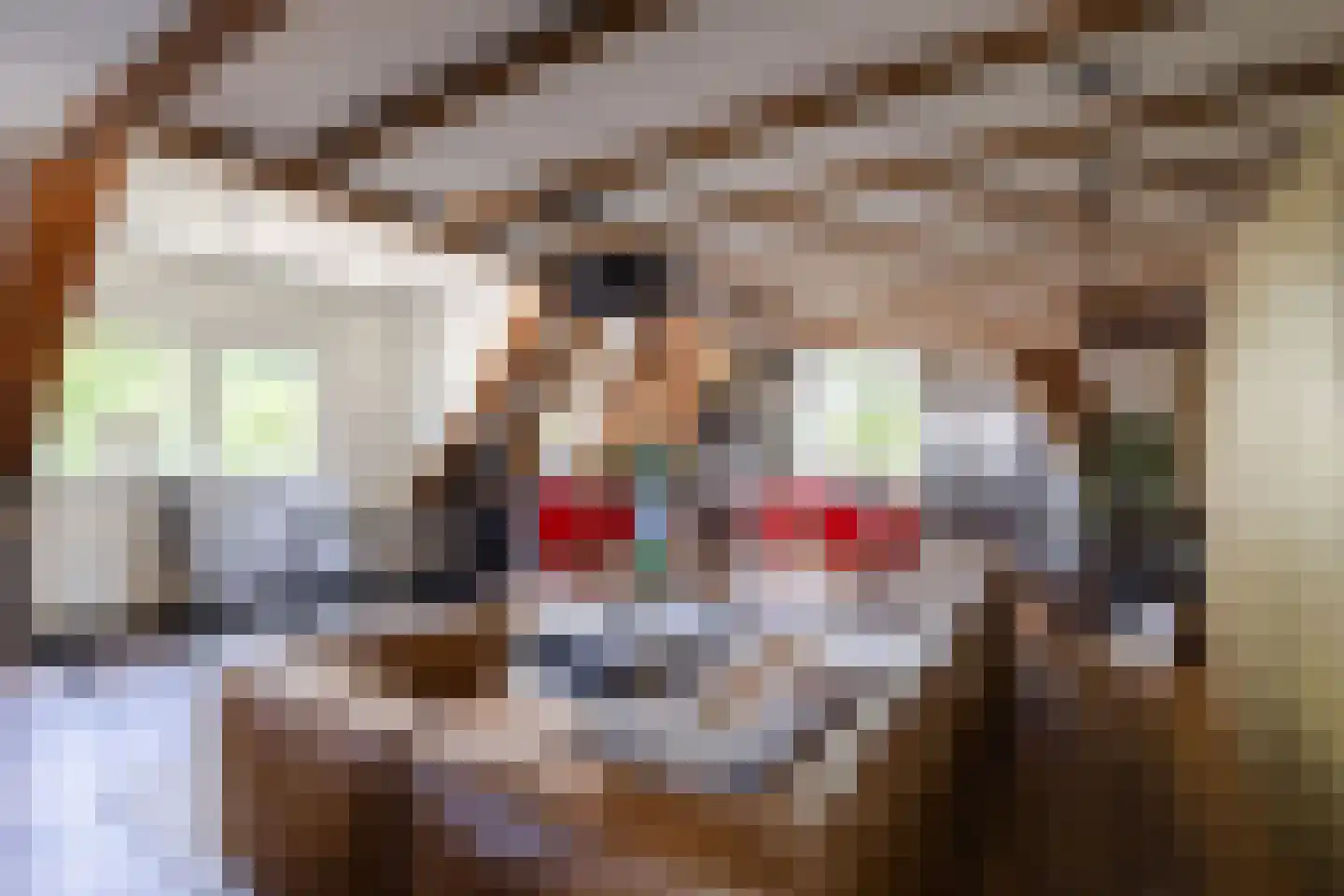 Hieronymusplantsoen 2 D Utrecht thumbnail 8