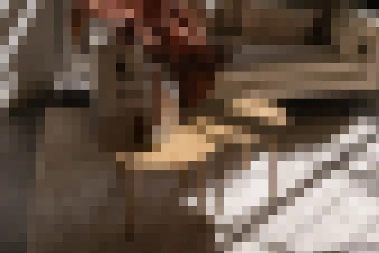 Hieronymusplantsoen 2 Utrecht thumbnail 11