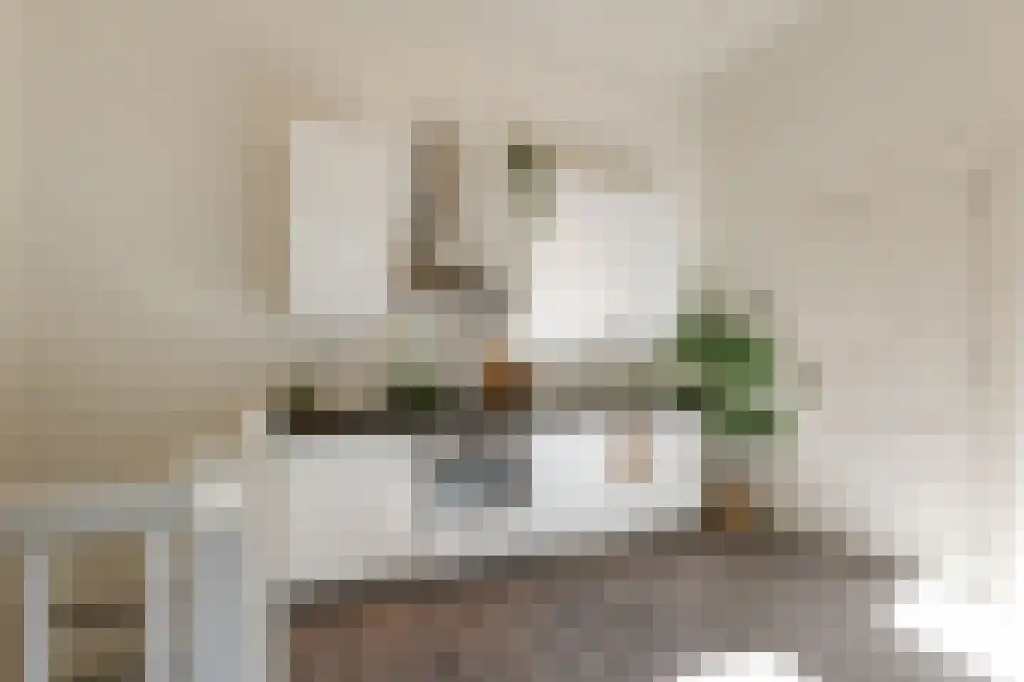 Hieronymusplantsoen 2 Utrecht thumbnail 18