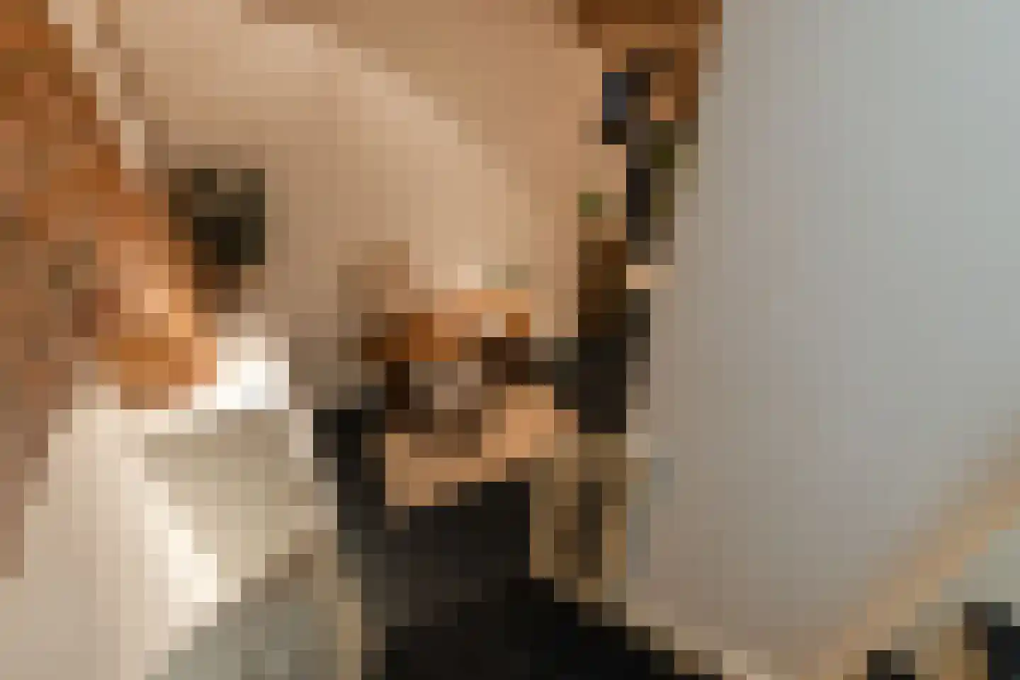 Hieronymusplantsoen 2 Utrecht thumbnail 21