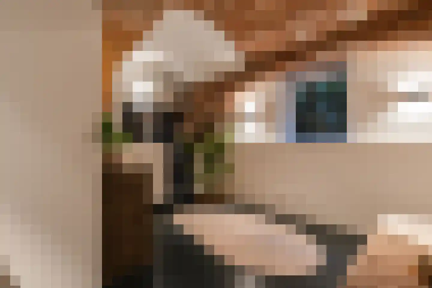 Hieronymusplantsoen 2 Utrecht thumbnail 26