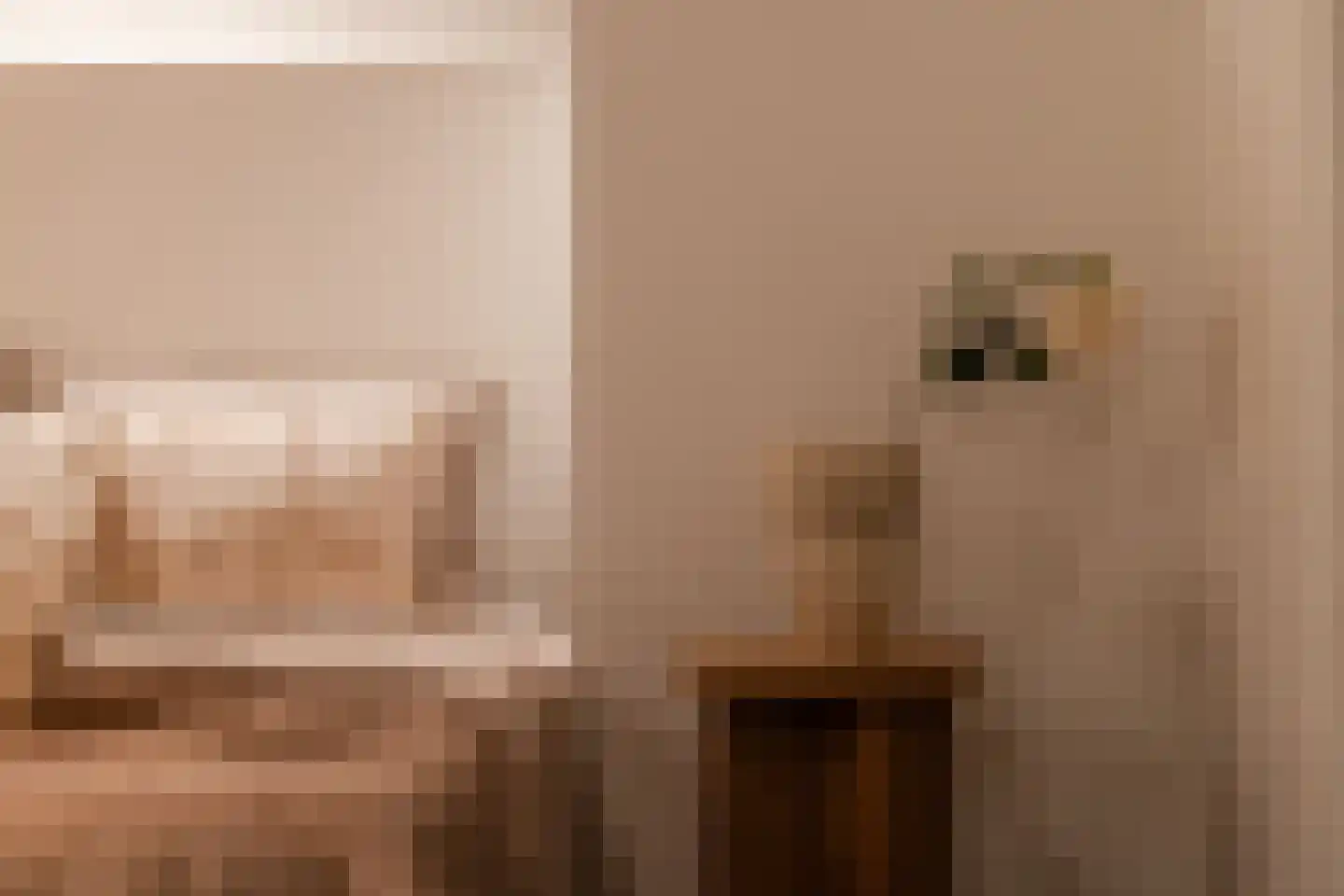 Hieronymusplantsoen 2 Utrecht thumbnail 28