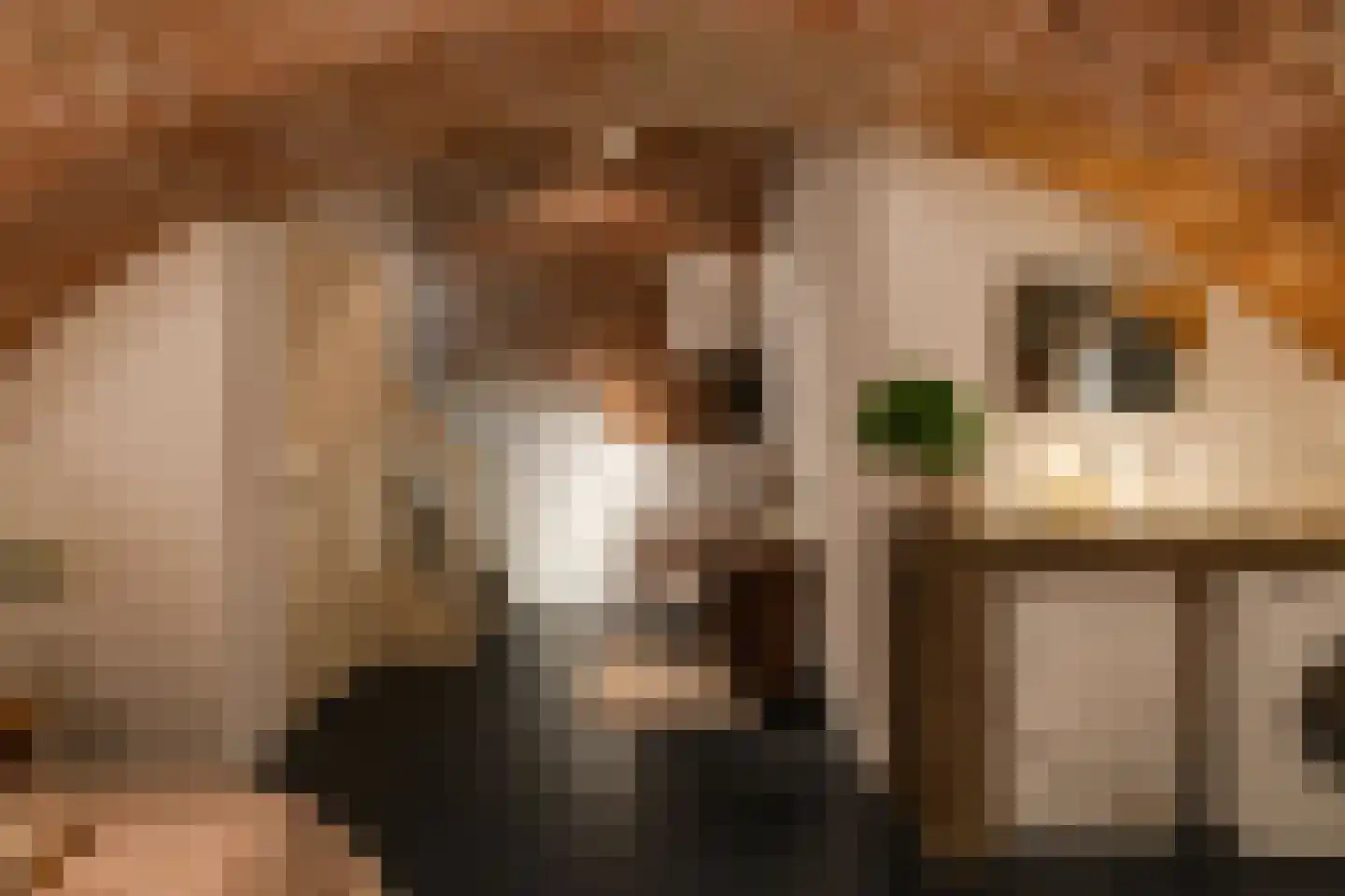 Hieronymusplantsoen 2 Utrecht thumbnail 30