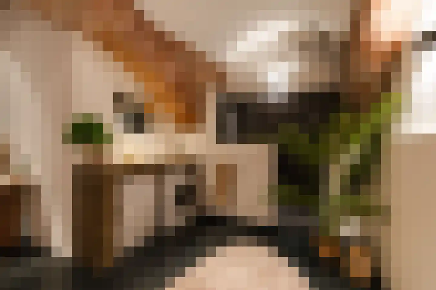Hieronymusplantsoen 2 Utrecht thumbnail 31