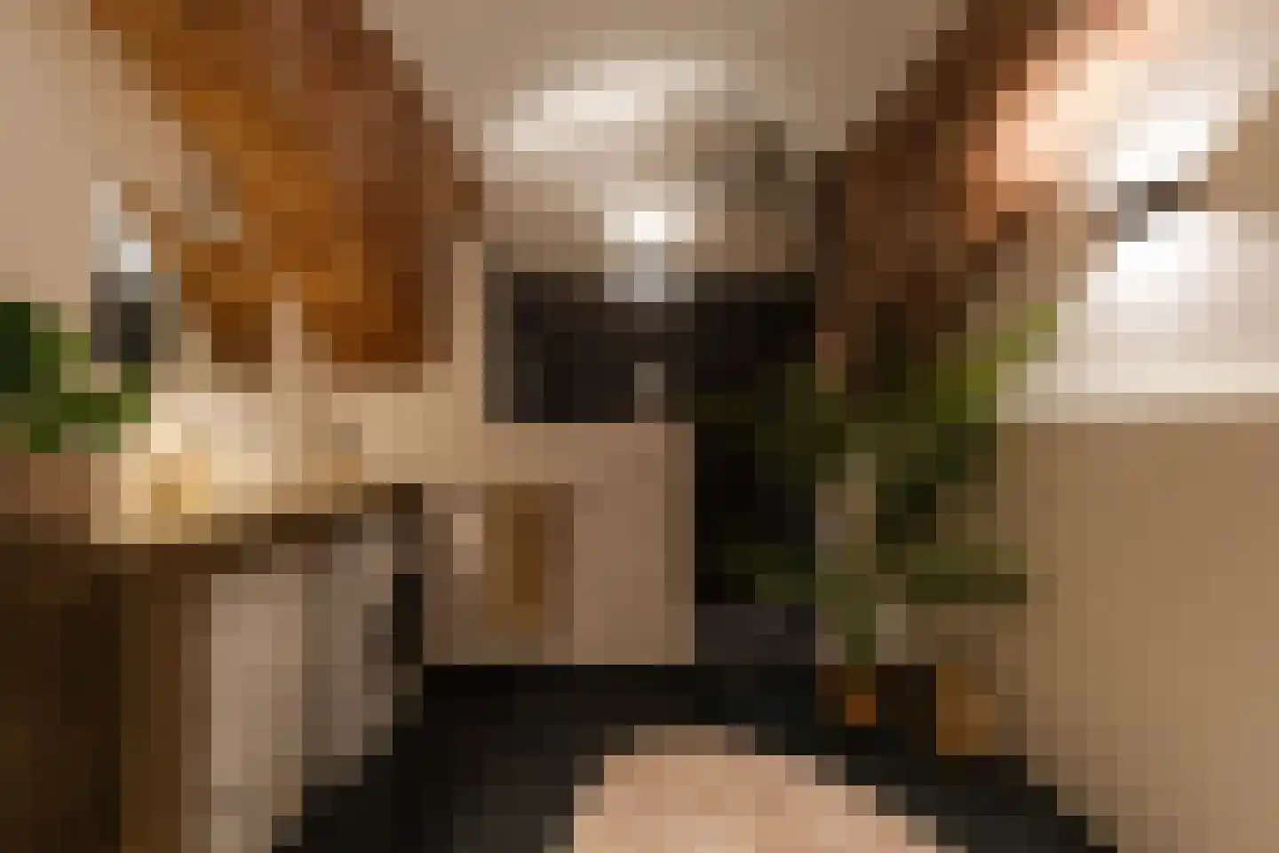 Hieronymusplantsoen 2 Utrecht thumbnail 32