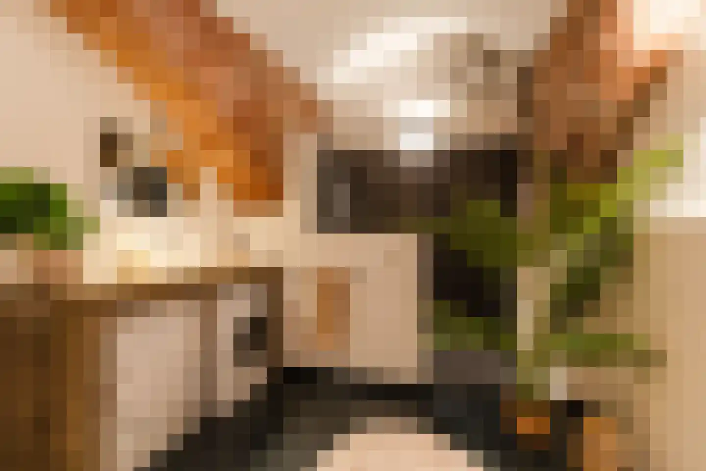 Hieronymusplantsoen 2 Utrecht thumbnail 33