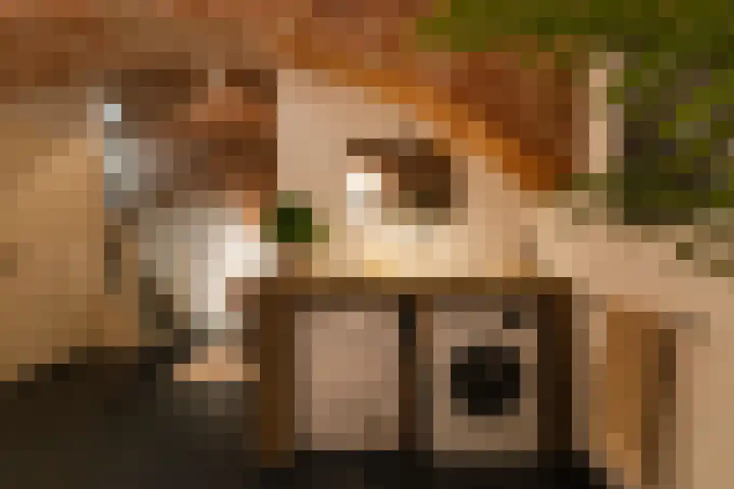 Hieronymusplantsoen 2 Utrecht thumbnail 34