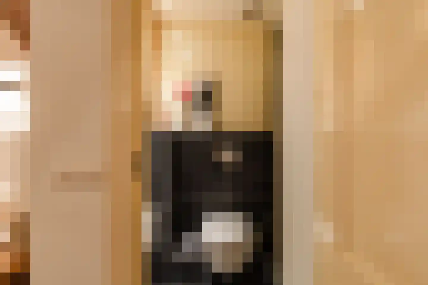 Hieronymusplantsoen 2 Utrecht thumbnail 35