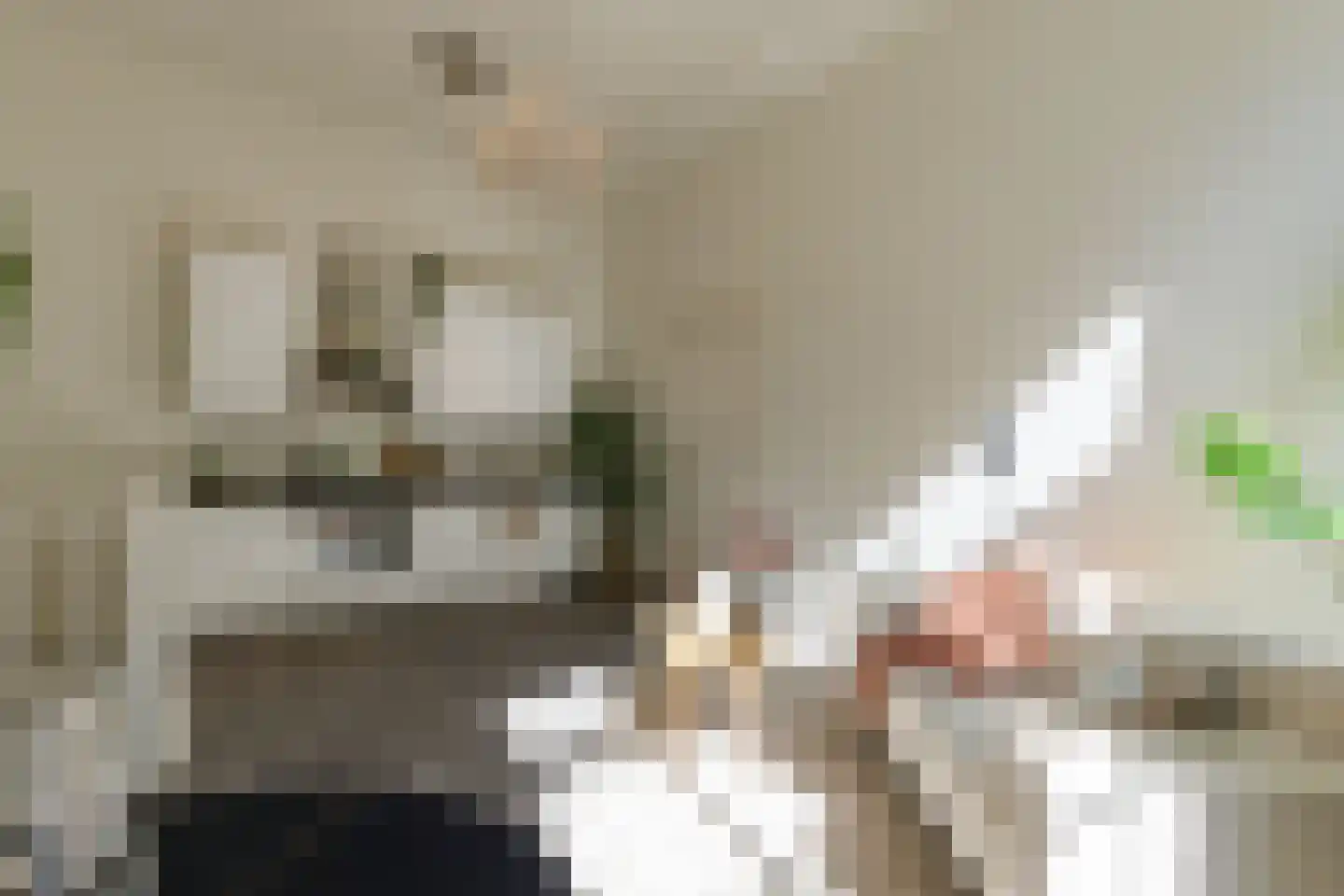 Hieronymusplantsoen 2 Utrecht thumbnail 4