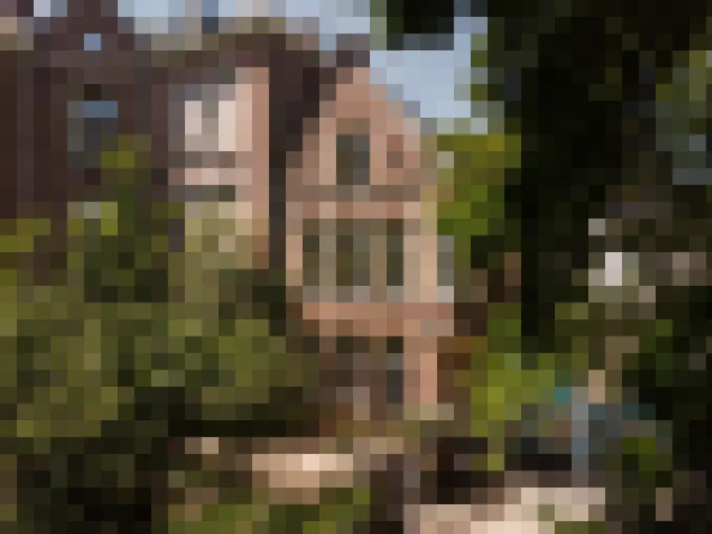 Hieronymusplantsoen 2 Utrecht thumbnail 41
