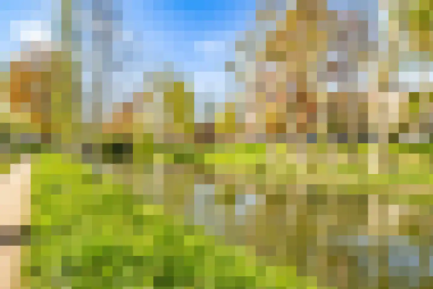 Hieronymusplantsoen 2 Utrecht thumbnail 46