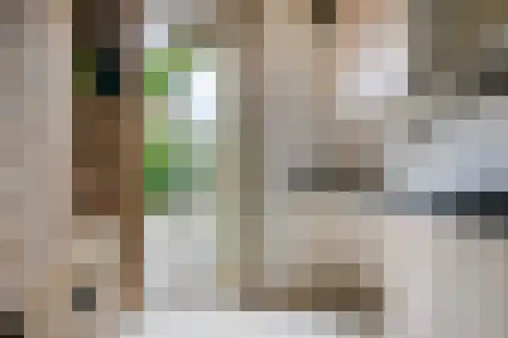 Hieronymusstraat 20 Tilburg thumbnail 18