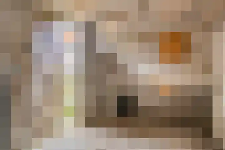 Hieronymusstraat 20 Tilburg thumbnail 36