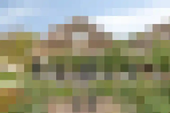 Hietbergsweg 6 Schalkhaar