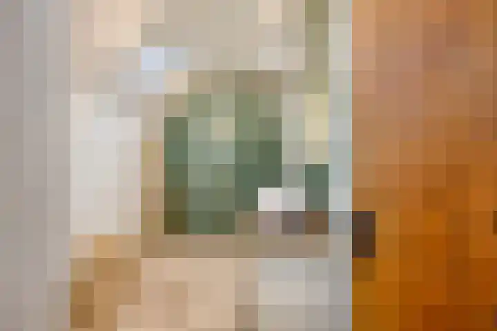 Hietbergsweg 6 Schalkhaar thumbnail 10