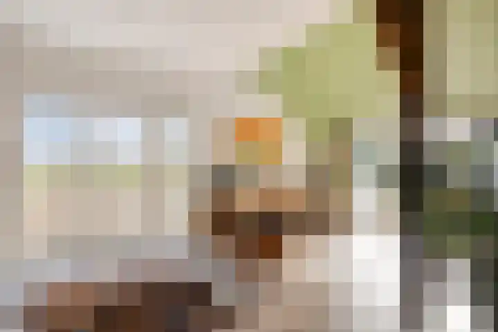 Hietbergsweg 6 Schalkhaar thumbnail 21