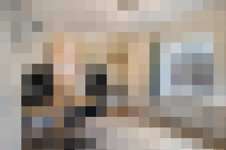 Hietbergsweg 6 Schalkhaar thumbnail 27