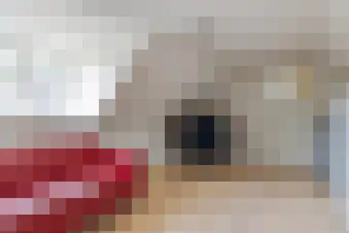 Hietbergsweg 6 Schalkhaar thumbnail 32