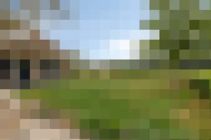 Hietbergsweg 6 Schalkhaar thumbnail 33