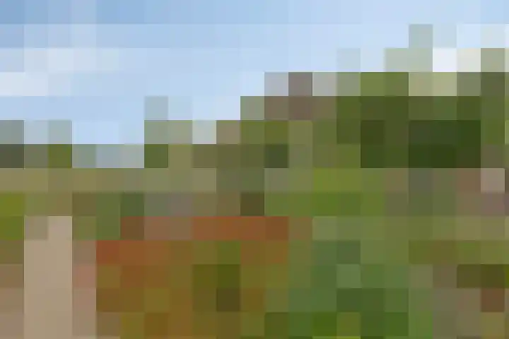 Hietbergsweg 6 Schalkhaar thumbnail 35