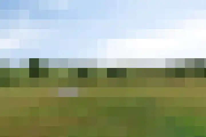Hietbergsweg 6 Schalkhaar thumbnail 36