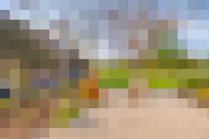 Hietbergsweg 6 Schalkhaar thumbnail 38