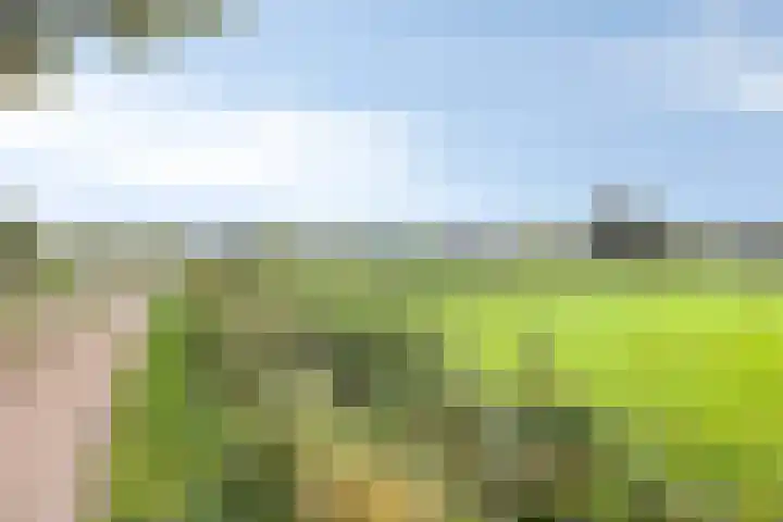 Hietbergsweg 6 Schalkhaar thumbnail 40