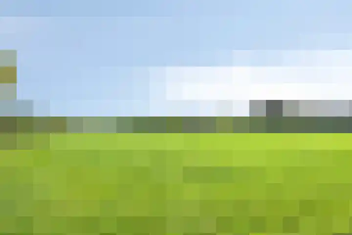 Hietbergsweg 6 Schalkhaar thumbnail 41