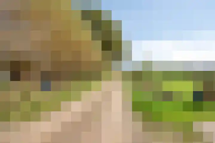 Hietbergsweg 6 Schalkhaar thumbnail 42