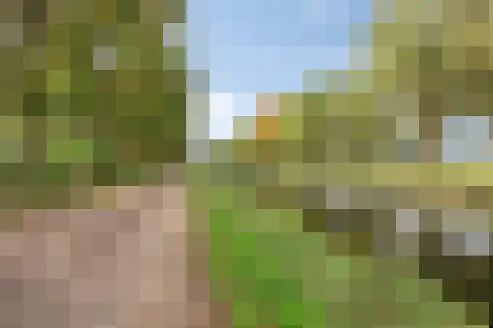 Hietbergsweg 6 Schalkhaar thumbnail 44
