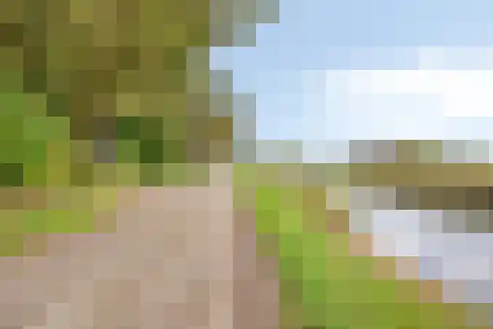 Hietbergsweg 6 Schalkhaar thumbnail 45