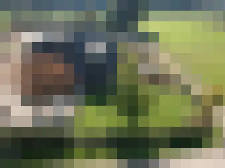 Hietbergsweg 6 Schalkhaar thumbnail 47