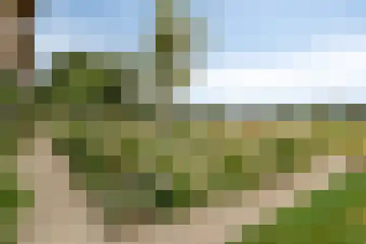 Hietbergsweg 6 Schalkhaar thumbnail 7