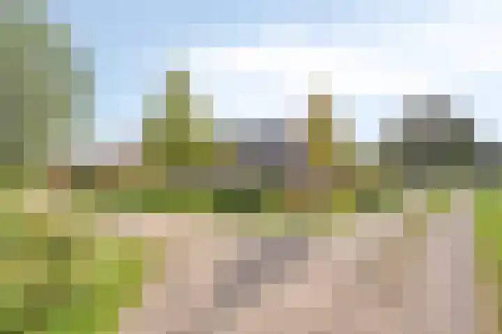 Hietbergsweg 6 Schalkhaar thumbnail 8