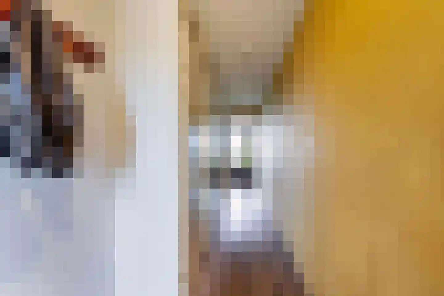 Hietkamp 178 Rotterdam thumbnail 4