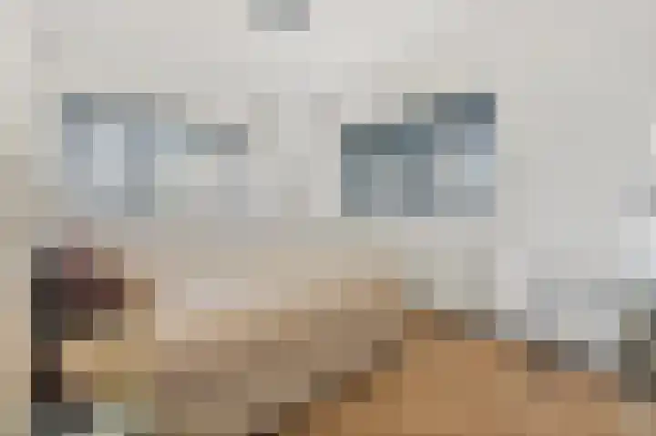 Hietkamp 79 Rotterdam thumbnail 11