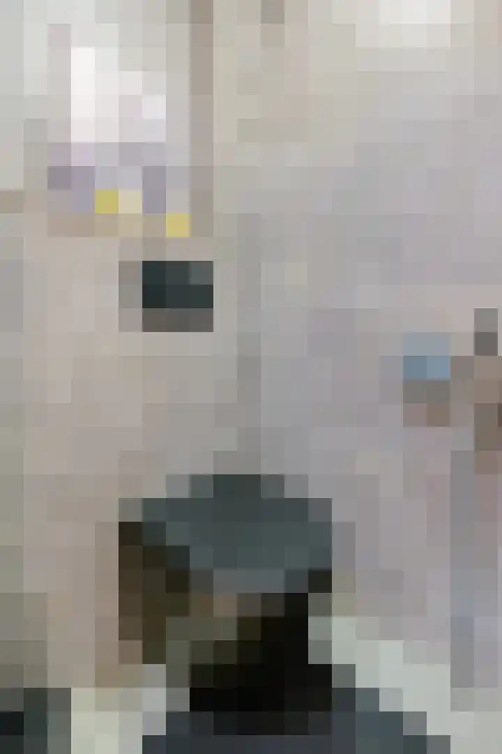 Hietkamp 79 Rotterdam thumbnail 18