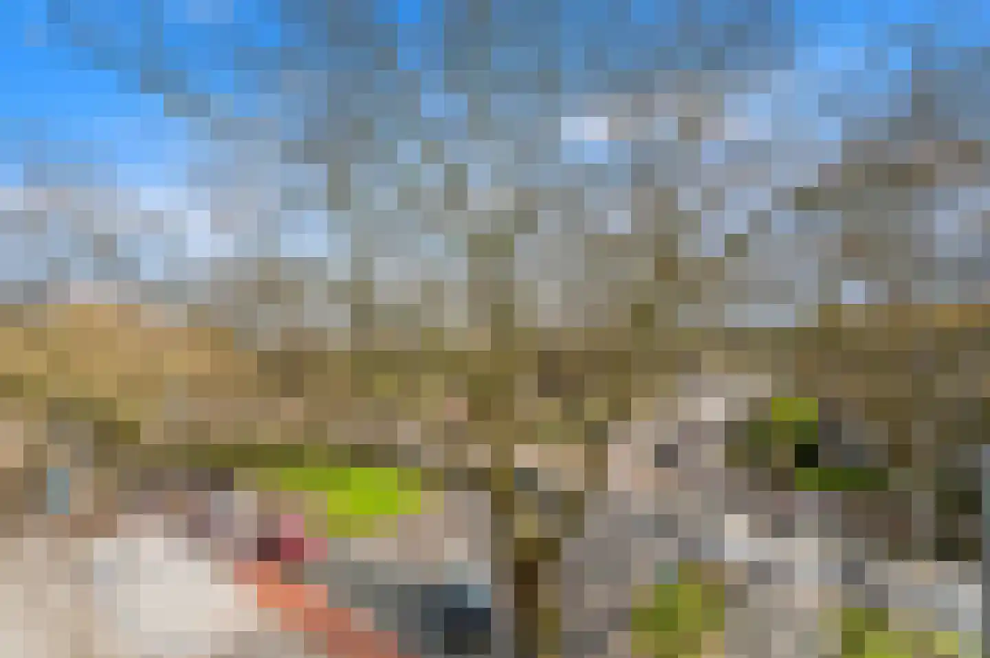 Hietkamp 79 Rotterdam thumbnail 25