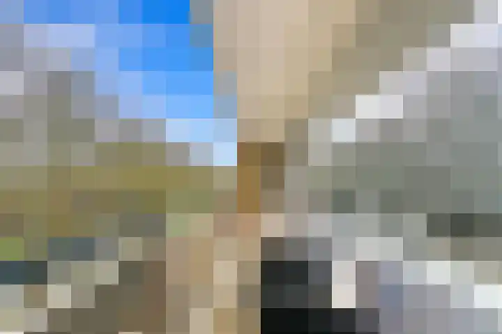Hietkamp 79 Rotterdam thumbnail 25