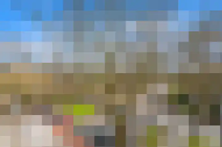 Hietkamp 79 Rotterdam thumbnail 26
