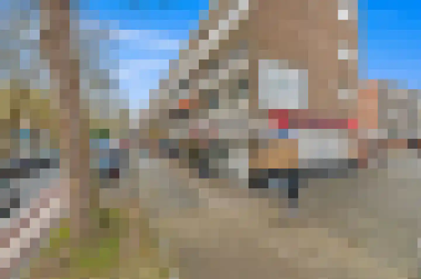 Hietkamp 79 Rotterdam thumbnail 33