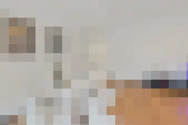 Hietkamp 79 Rotterdam thumbnail 6