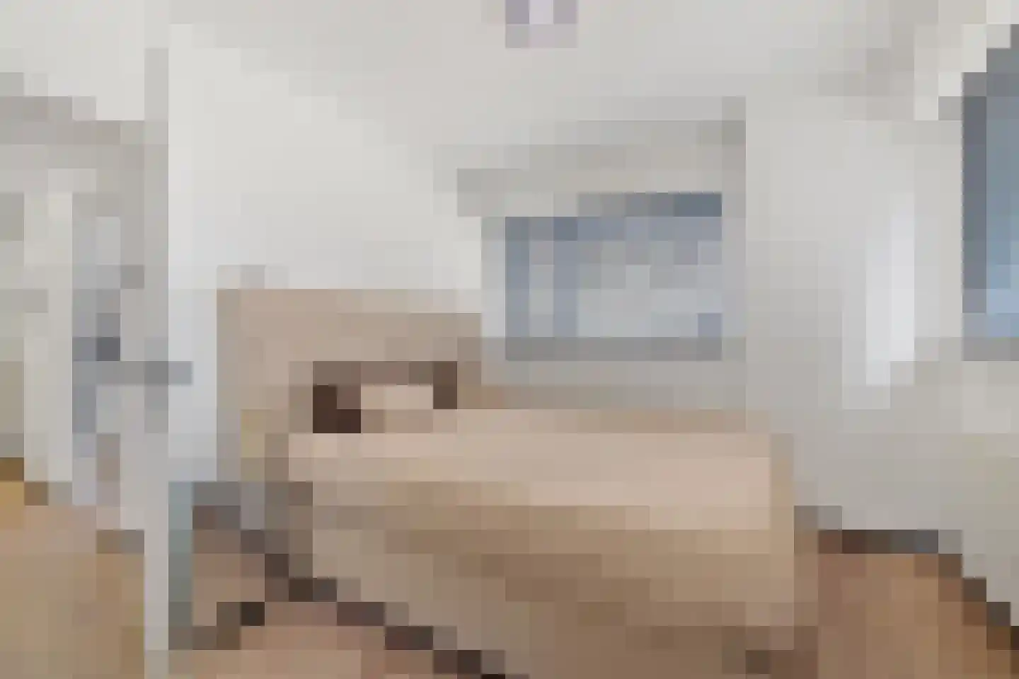 Hietkamp 79 Rotterdam thumbnail 8