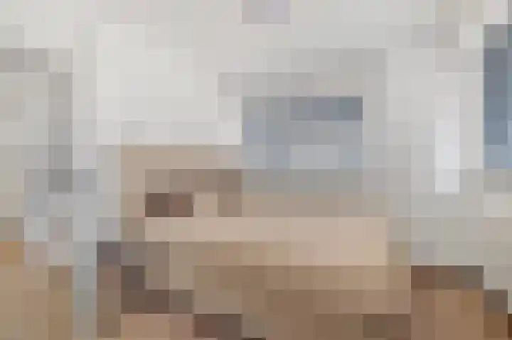 Hietkamp 79 Rotterdam thumbnail 9
