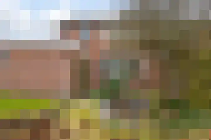 Hietkampen 42 Westerbork thumbnail 25