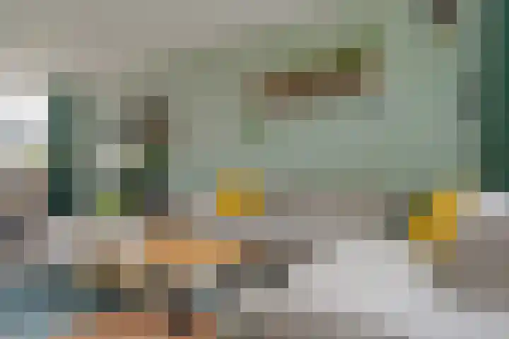 Hietkampen 6 Westerbork thumbnail 10