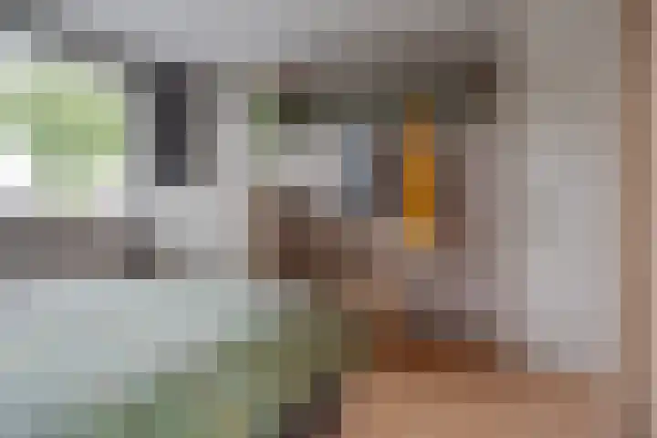 Hietkampen 6 Westerbork thumbnail 22