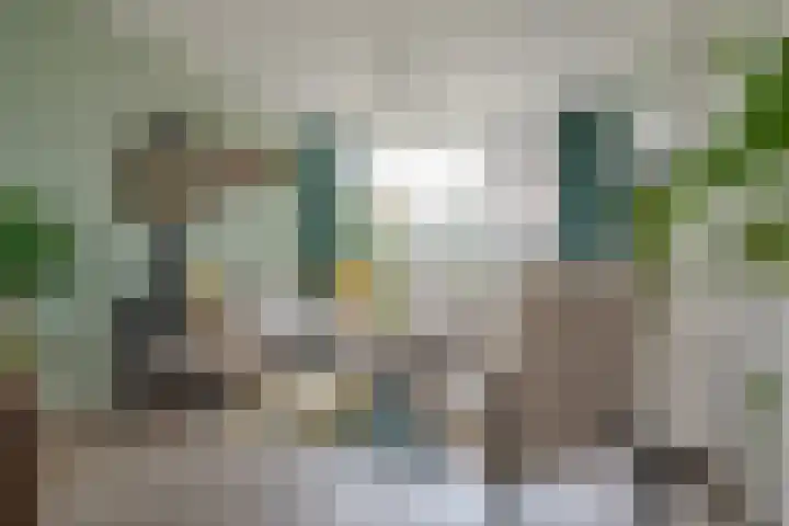Hietkampen 6 Westerbork thumbnail 9